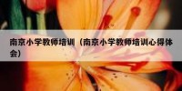 南京小学教师培训（南京小学教师培训心得体会）
