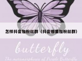 怎样抖音加粉丝群（抖音哪里加粉丝群）