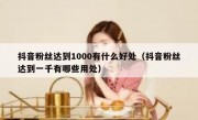 抖音粉丝达到1000有什么好处（抖音粉丝达到一千有哪些用处）