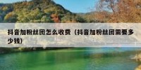 抖音加粉丝团怎么收费（抖音加粉丝团需要多少钱）