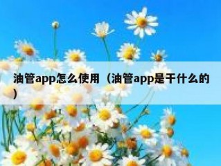 油管app怎么使用（油管app是干什么的）