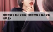 微信视频号看不见粉丝（微信视频号看不见粉丝数量）