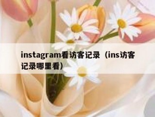 instagram看访客记录（ins访客记录哪里看）