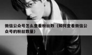 微信公众号怎么查看粉丝数（如何查看微信公众号的粉丝数量）