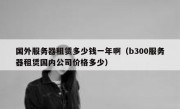 国外服务器租赁多少钱一年啊（b300服务器租赁国内公司价格多少）