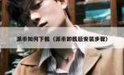 派币如何下载（派币卸载后安装步骤）