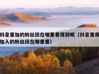 抖音里加的粉丝团在哪里看得到呢（抖音里我加入的粉丝团在哪里看）