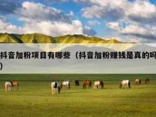 抖音加粉项目有哪些（抖音加粉赚钱是真的吗）