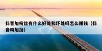 抖音加粉丝有什么好处和坏处吗怎么赚钱（抖音粉加加）