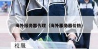 海外服务器代理（海外服务器价格）