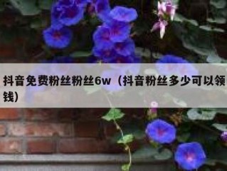 抖音免费粉丝粉丝6w（抖音粉丝多少可以领钱）