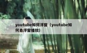 youtube如何浮窗（youtube如何悬浮窗播放）