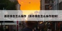 派币钱包怎么操作（派币钱包怎么操作视频）