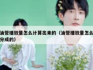 油管播放量怎么计算出来的（油管播放量怎么分成的）