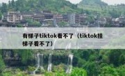 有梯子tiktok看不了（tiktok挂梯子看不了）
