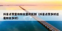 抖音点赞量和粉丝量的区别（抖音点赞多好还是粉丝多好）