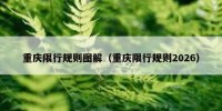 重庆限行规则图解（重庆限行规则2026）