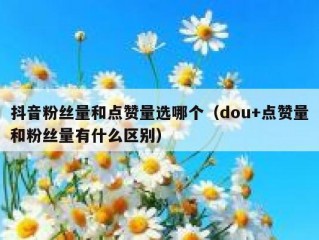 抖音粉丝量和点赞量选哪个（dou+点赞量和粉丝量有什么区别）