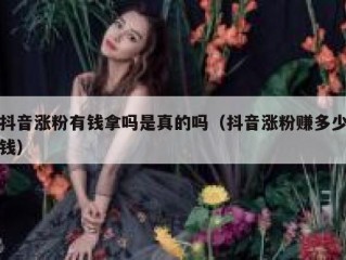 抖音涨粉有钱拿吗是真的吗（抖音涨粉赚多少钱）