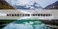 海外服务器什么价格（海外服务器低价）