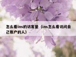 怎么看ins的访客量（ins怎么看访问自己账户的人）