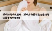 派币如何手机验证（派币身份验证官方邀请好还是手动申请好）