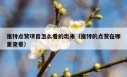 推特点赞项目怎么看的出来（推特的点赞在哪里查看）