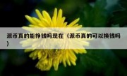 派币真的能挣钱吗现在（派币真的可以换钱吗）