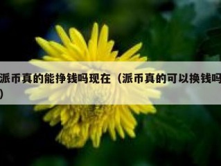 派币真的能挣钱吗现在（派币真的可以换钱吗）