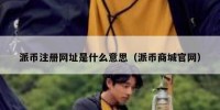 派币注册网址是什么意思（派币商城官网）