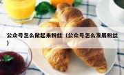 公众号怎么做起来粉丝（公众号怎么发展粉丝）