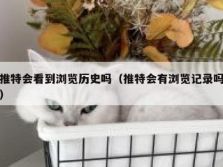 推特会看到浏览历史吗（推特会有浏览记录吗）