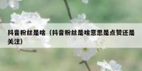 抖音粉丝是啥（抖音粉丝是啥意思是点赞还是关注）