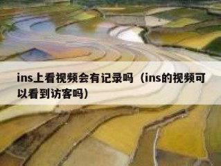 ins上看视频会有记录吗（ins的视频可以看到访客吗）