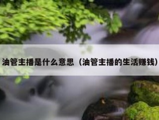 油管主播是什么意思（油管主播的生活赚钱）