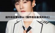 国外粉丝量k和m（国外粉丝最多的网红）
