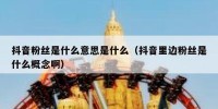 抖音粉丝是什么意思是什么（抖音里边粉丝是什么概念啊）