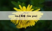 ins上有啥（ins you）