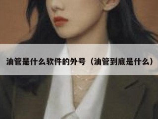 油管是什么软件的外号（油管到底是什么）