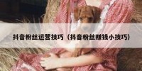 抖音粉丝运营技巧（抖音粉丝赚钱小技巧）
