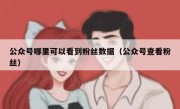 公众号哪里可以看到粉丝数据（公众号查看粉丝）