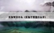 王加赞念什么（王加个赞是什么字）