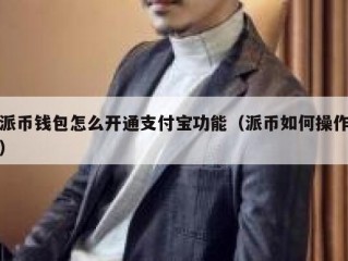 派币钱包怎么开通支付宝功能（派币如何操作）