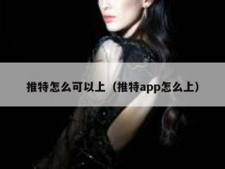 推特怎么可以上（推特app怎么上）