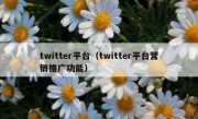 twitter平台（twitter平台营销推广功能）