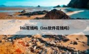 ins花钱吗（ins软件花钱吗）
