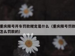 重庆限号开车罚款规定是什么（重庆限号罚款怎么罚款的）