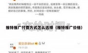推特推广付费方式怎么选择（推特推广价格）