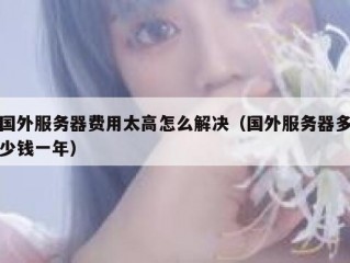 国外服务器费用太高怎么解决（国外服务器多少钱一年）