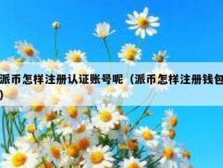 派币怎样注册认证账号呢（派币怎样注册钱包）